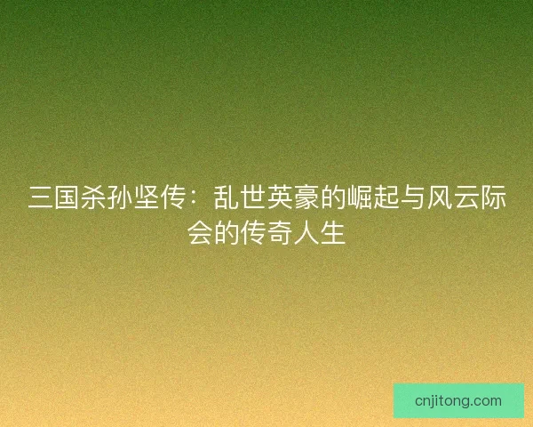 三国杀孙坚传:乱世英豪的崛起与风云际会的传奇人生 三国杀孙坚传:乱世英豪的崛起与风云际会的传奇人生